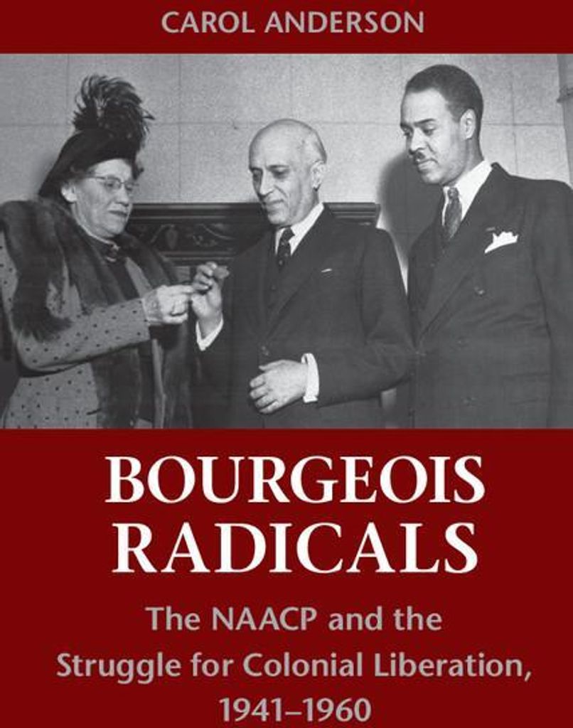 Bourgeois Radicals
