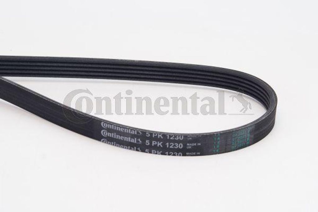 CONTINENTAL CTAM 5PK1230 Keilrippenriemen OE 11281738517 kompatibel mit Agila A, Astra G, Astra H, Astra (A04), Combo, Corsa C, Corsa D, Meriva, Tigra