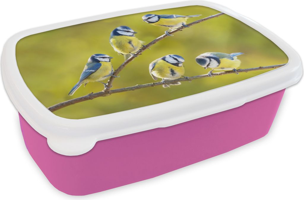 KitchenYeah Lunchbox Brotzeit Brotdose 17x11 cm Vogel - Blaumeise - Äste - Sonne Kinder Brotzeitdose - Lunchpaket - Brotkasten - Sandwich Box