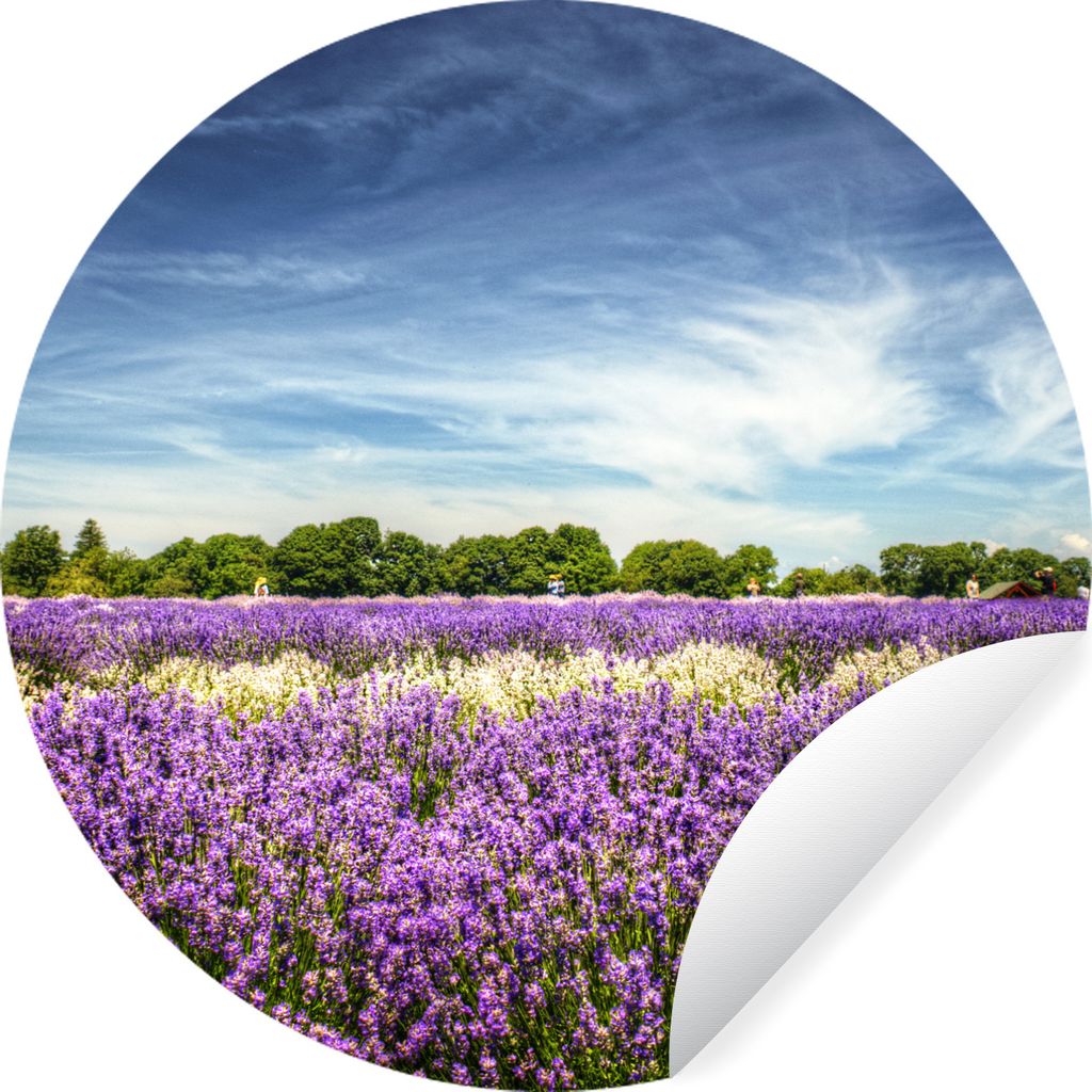 MuchoWow Runde Wandtattoo - Wandsticker Tapete Aufkleber Blauer Himmel über Lavendel in der Natur Ø 80 cm Selbstklebend und Repositionierbar - ...