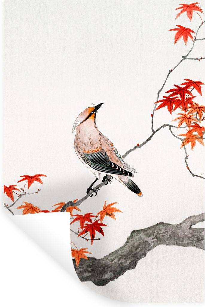 MuchoWow Wandtattoo Wandsticker Wandaufkleber Zweig - Vogel - Japanischer Ahorn - Skandinavisch 40x60 cm Selbstklebend und Repositionierbar - Wie...