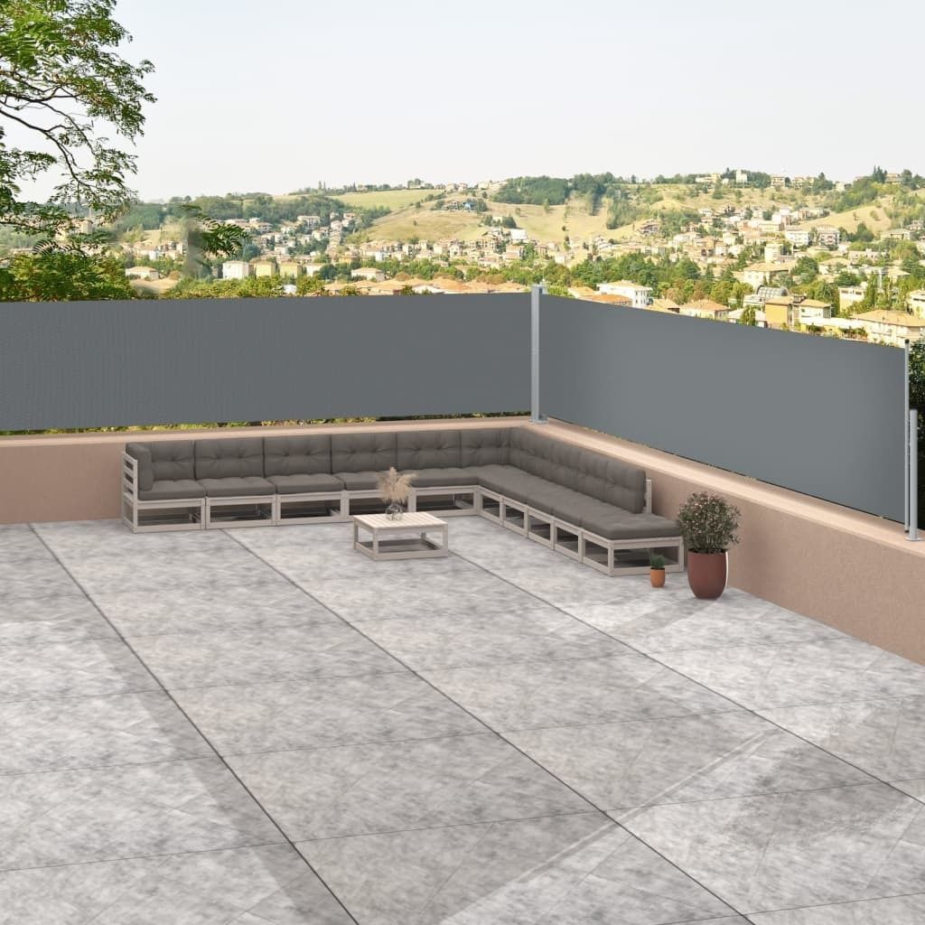 Maison Exclusive - Seitenmarkise Ausziehbar Anthrazit 117x1200 cm