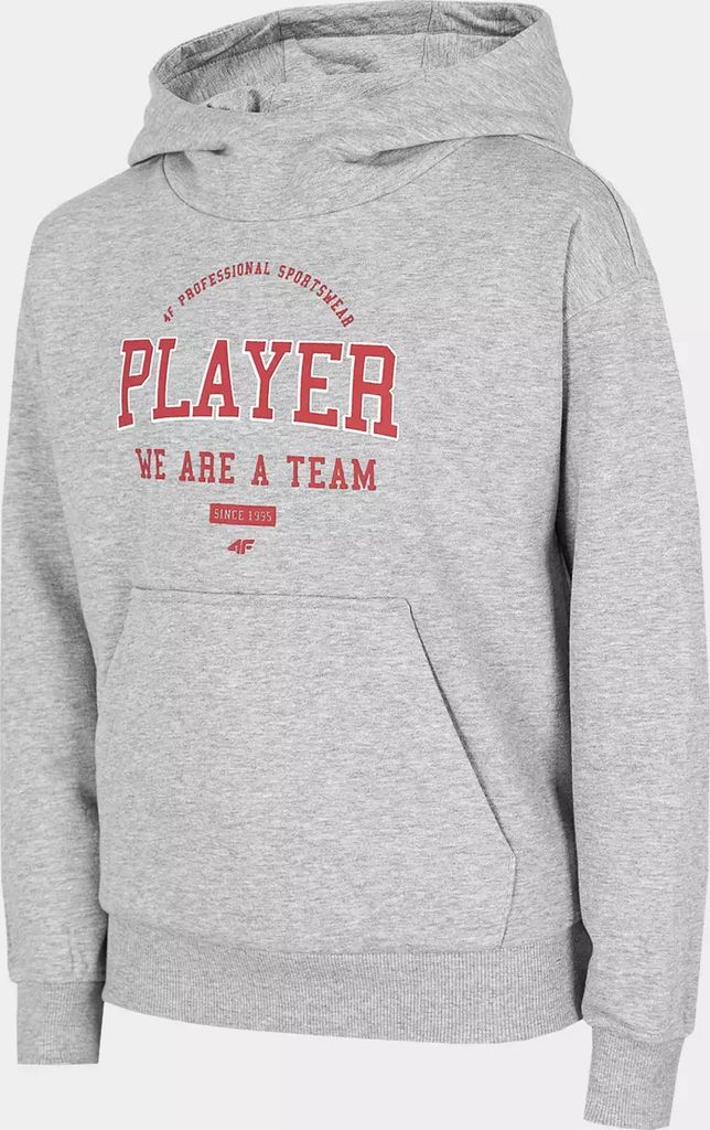 4F Jungen-Sweatshirt Aguth grau 164