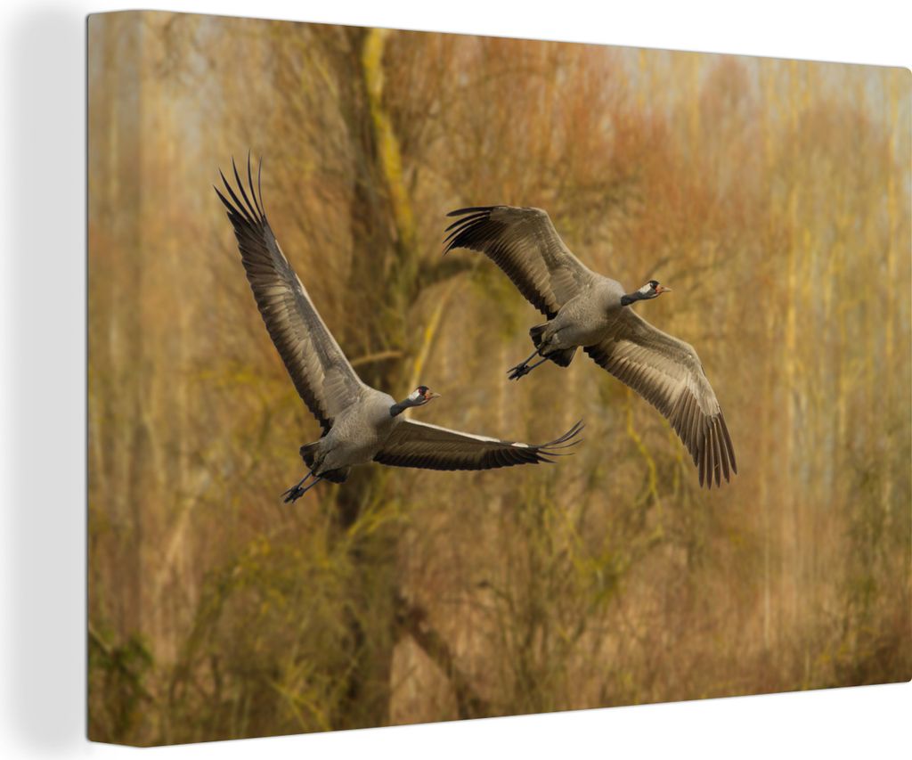 OneMillionCanvasses - Leinwandbilder - 150x100 cm, Zwei europäische Kraniche mit einem Wald als Hintergrund, Wandbilder Kunstdruck Wanddekoration