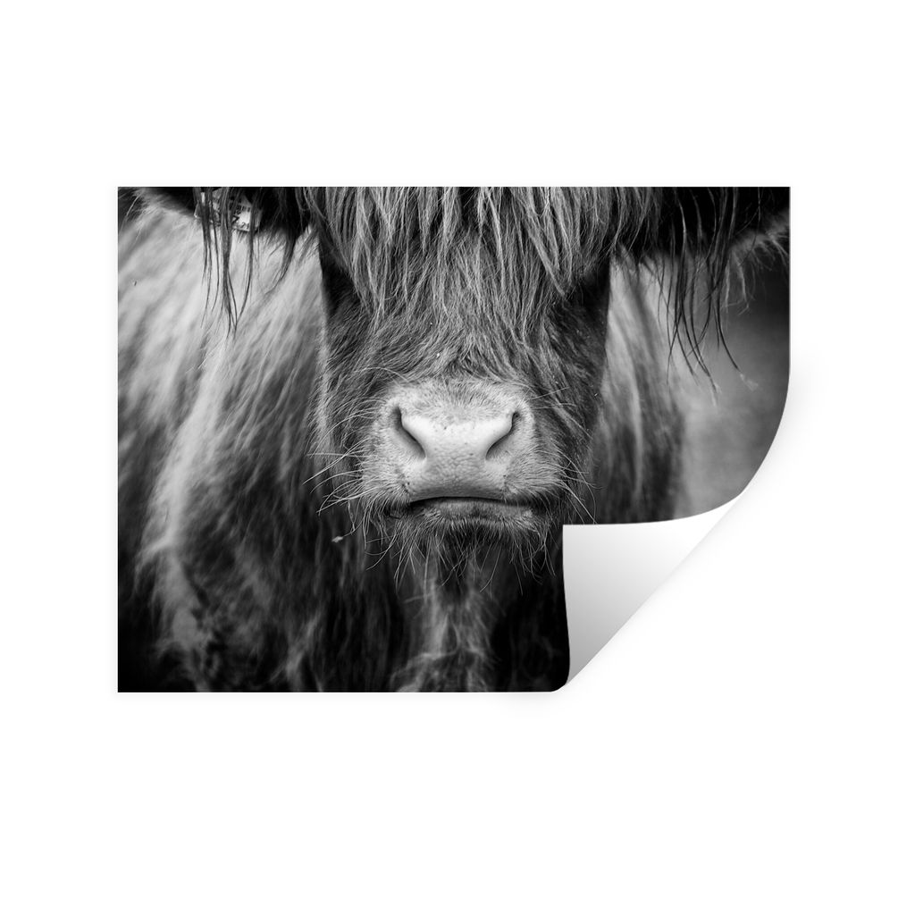 MuchoWow Wandtattoo Wandsticker Wandaufkleber Schottischer Highlander - Haare - Tiere 40x30 cm Selbstklebend und Repositionierbar - Faltenfrei