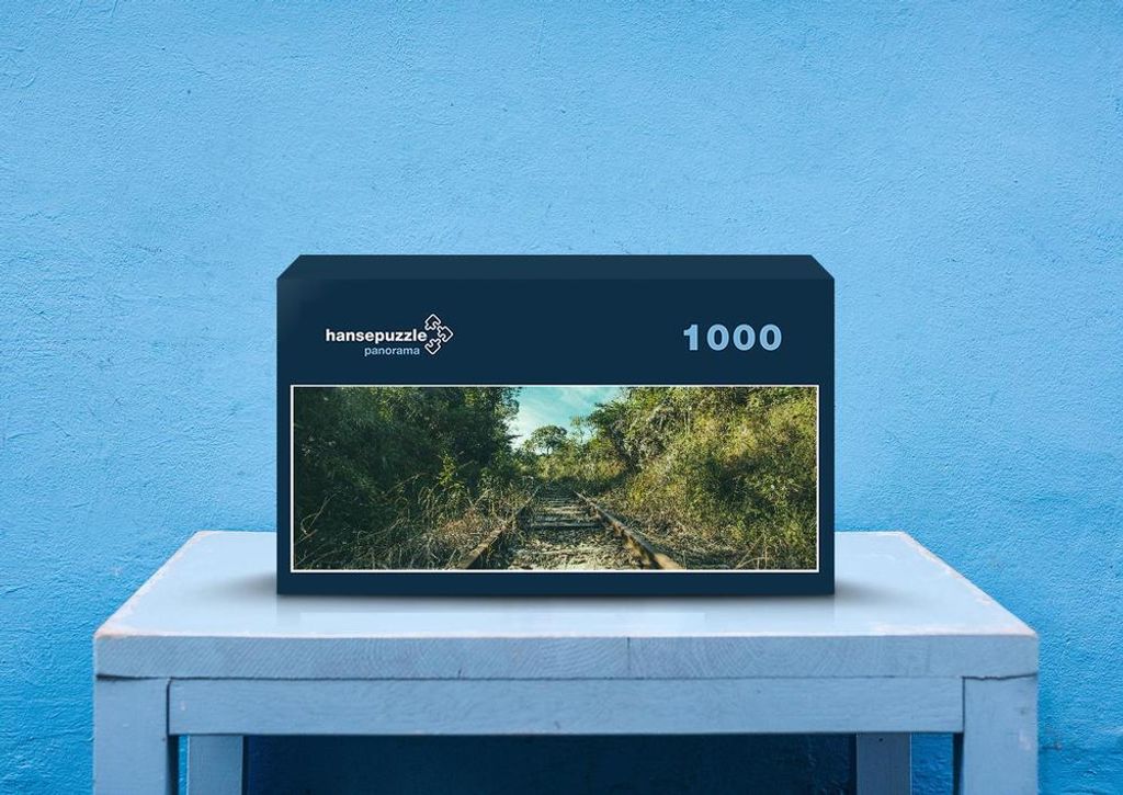 hansepuzzle 30273 - Schienen Puzzle, 1050 Teile, Natur, 60,0 x 46,0cm mit hochwertiger Aufbewahrung, Kartonbox und wiederverschließbarem Beutel