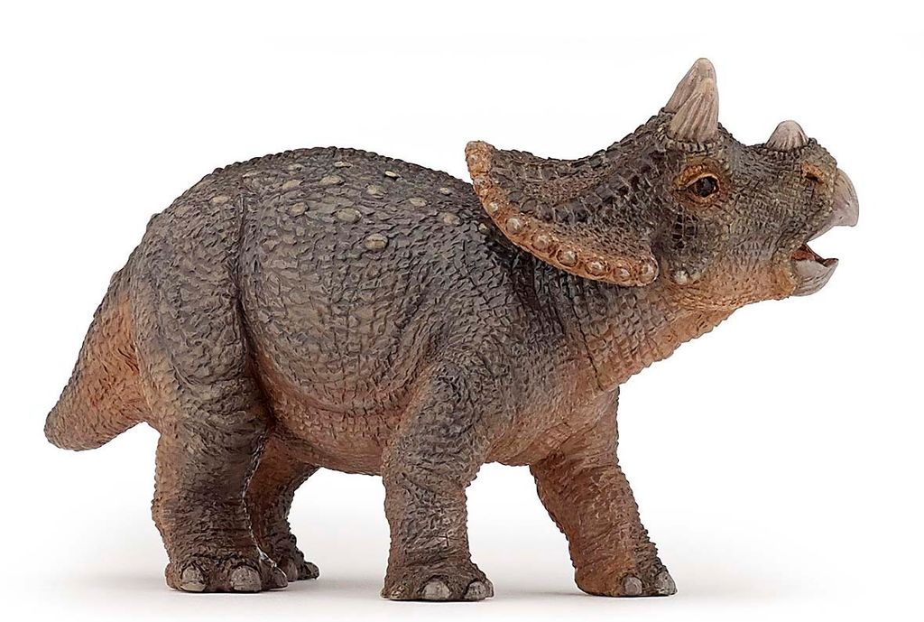 Papo Figurine Dinosaure Triceratops Jeune Dinosaure Image du produit 