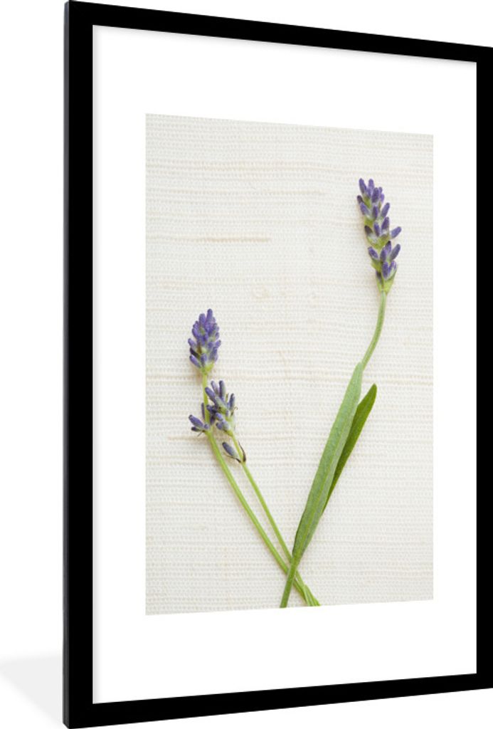 MuchoWow Gerahmtes Poster Studioaufnahme von Lavendel 60x90 cm - Poster mit Schwarzem Bilderrahmen Wandposter Rahmen Foto Bilder - Dekoration - W...