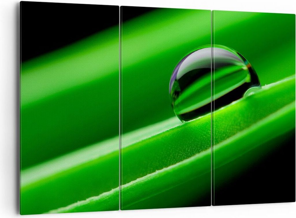 Bild auf Leinwand - Leinwandbild - Pflanze Tropfen Wasser Blase - 165x110cm - Wand Bild - Wanddeko - Leinwanddruck - Bilder - Kunstdruck - Wanddeko...
