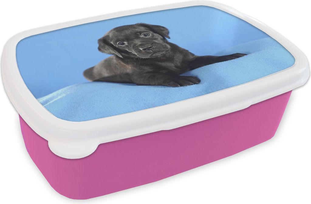KitchenYeah Lunchbox Brotzeit Brotdose 17x11 cm Labrador-Welpe auf blauer Decke Kinder Brotzeitdose - Lunchpaket - Brotkasten - Sandwich Box