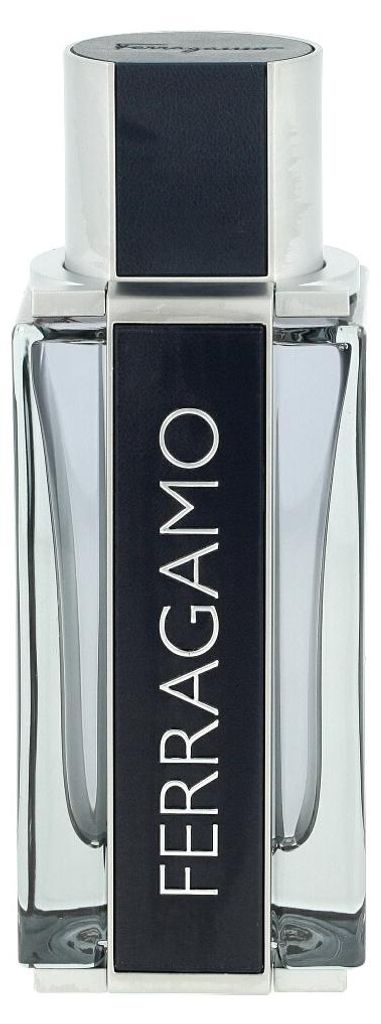 Salvatore Ferragamo Ferragamo, Pánské, 100 ml, Obrázek produktu 
