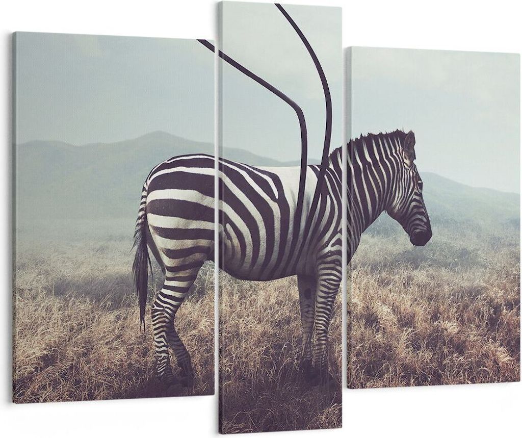 Bild auf Leinwand - Leinwandbild - Zebra Tier Wiese - 95x80cm - Wand Bild - Wanddeko - Wandbilder - Leinwanddruck - Bilder - Kunstdruck - Wanddekor...