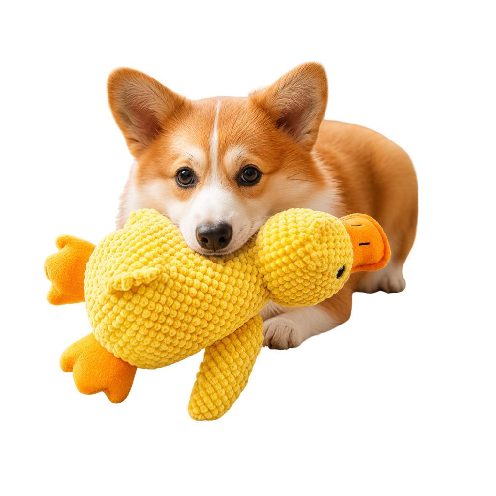 Quietschendes Hundespielzeug Ente – weiches Hundekuscheltier