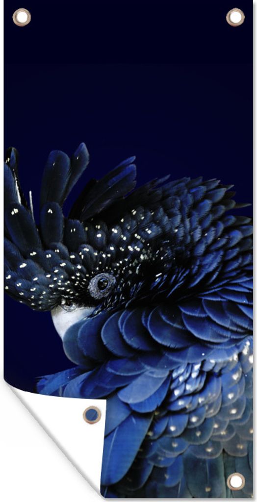 MuchoWow 40x80 cm Outdoor-Poster Gartendeko Sichtschutz Garten Poster für den Garten Nahaufnahme Rotschwanzkakadu