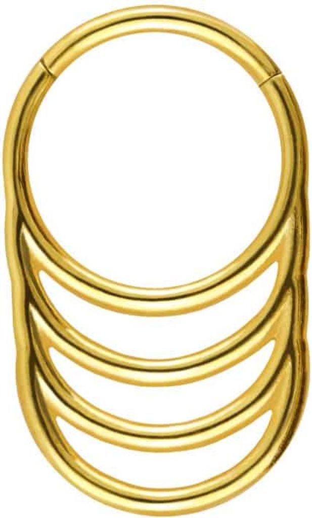 Ohrpiercing, Nasenpiercing, Septum Piercing Chirurgenstahl Segmentring Clicker 4 RINGE Gold Innendurchmesser: 10 mm