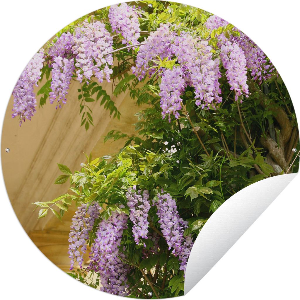 MuchoWow Gartenposter Outdoor-Poster Rund Blauer Regen auf gelbem Hintergrund Ø 90 cm Gartendeko Rundes Poster draußen