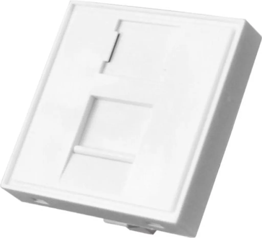 Plastron 45x45 pour Module Keystone avec Volet de Protection Anti-poussière