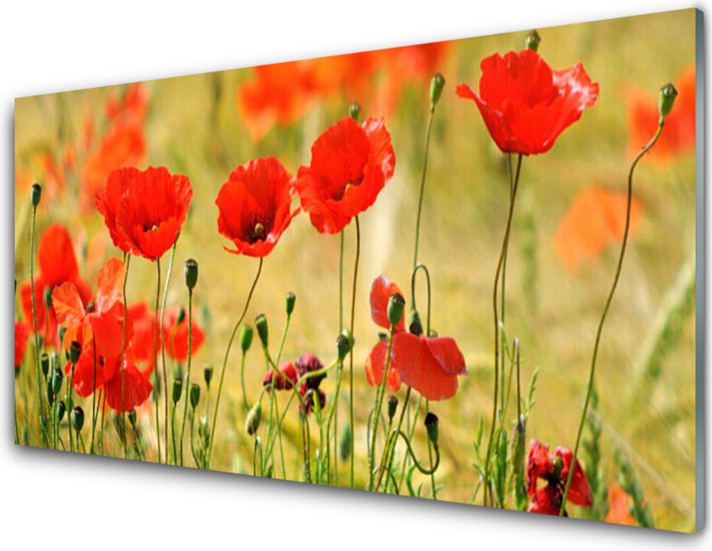 Küchenrückwand aus Glas 100x50cm Spritzschutz Mohnblumen Natur