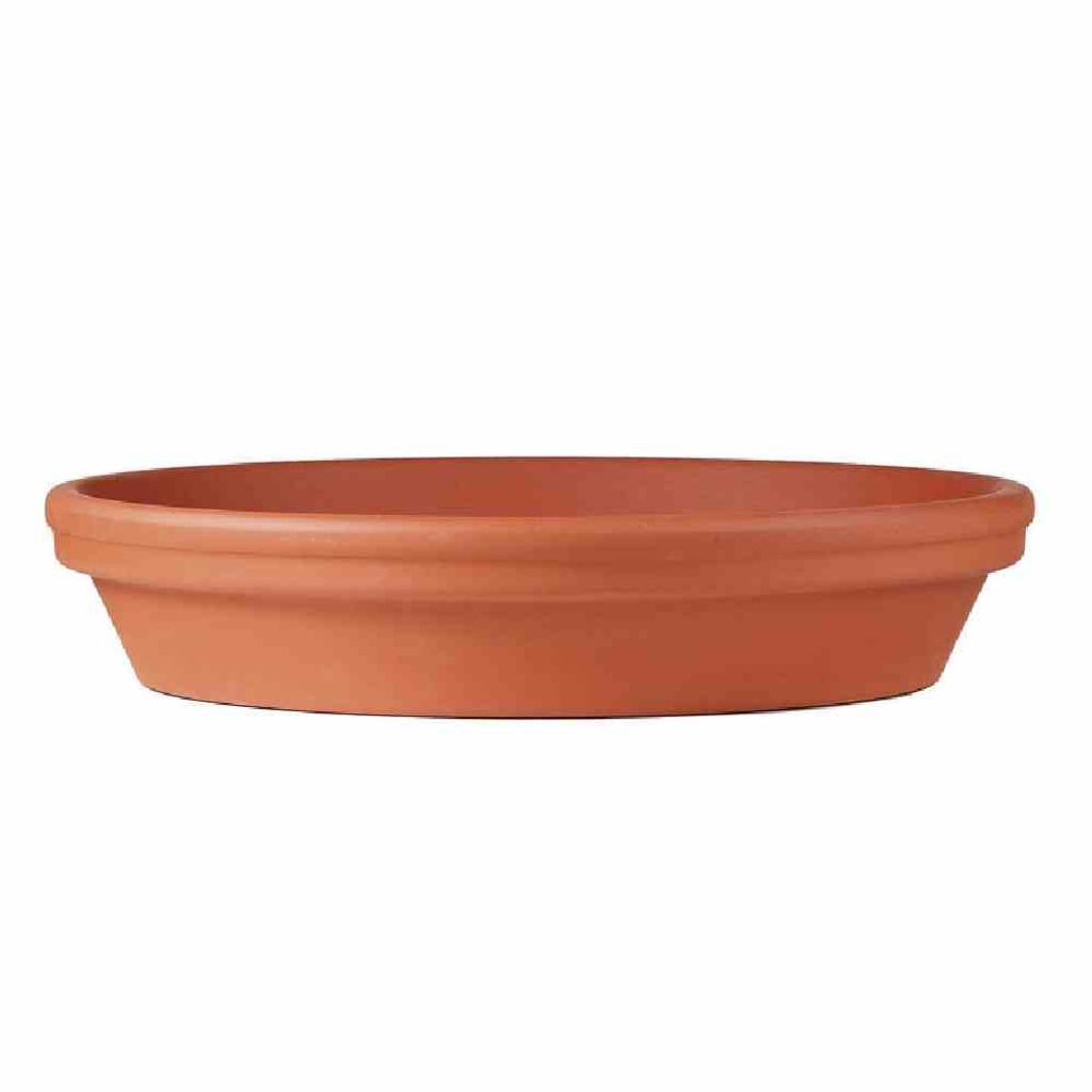 Pflanzuntersetzer Ton Ø 32,9 x 6,7 cm terracotta transparent glasiert