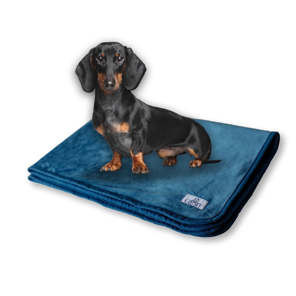 Giesty Hundedecke, Haustier Decken kuschelweich, Decken für Hunde Wasserdicht, maschinenwaschbar, beidseitiger Sofabezug-Schutz, Blau, M (60x74cm)