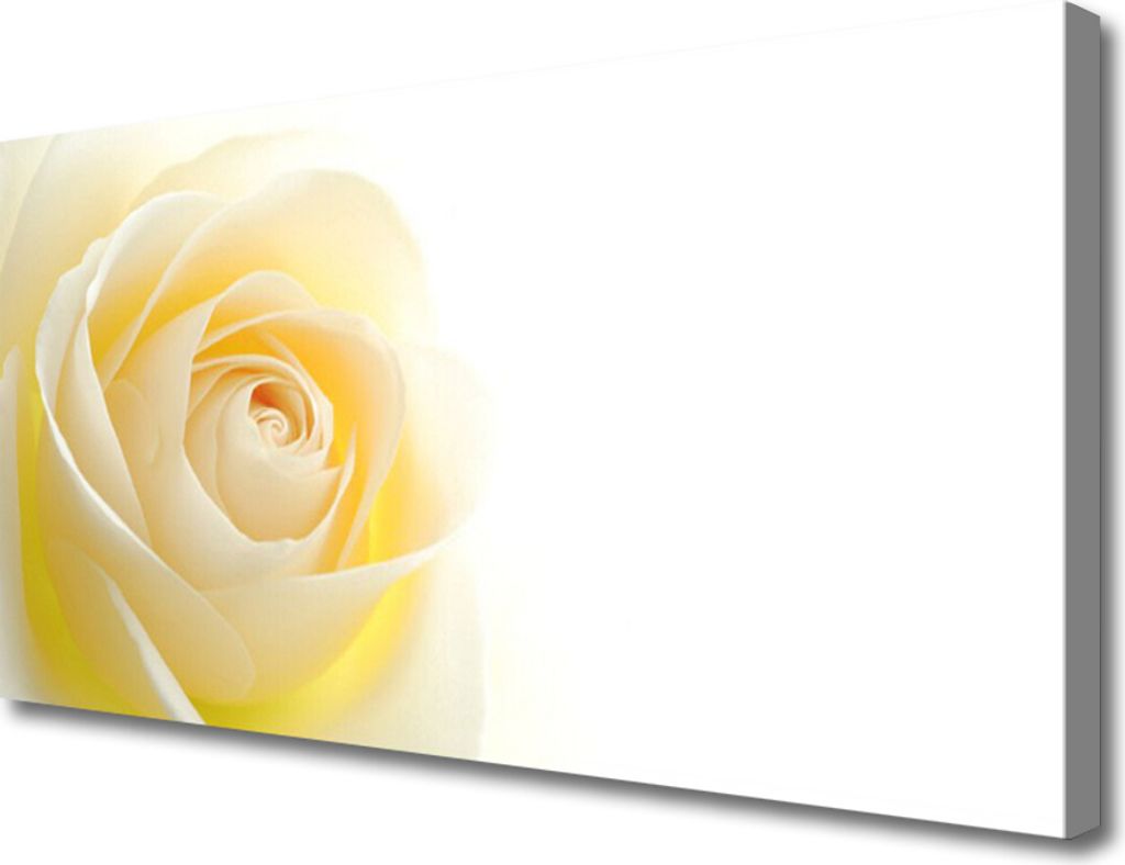 Tulup Leinwand-Bilder 100x50 Wandbild Canvas Kunstdruck Rose Pflanzen