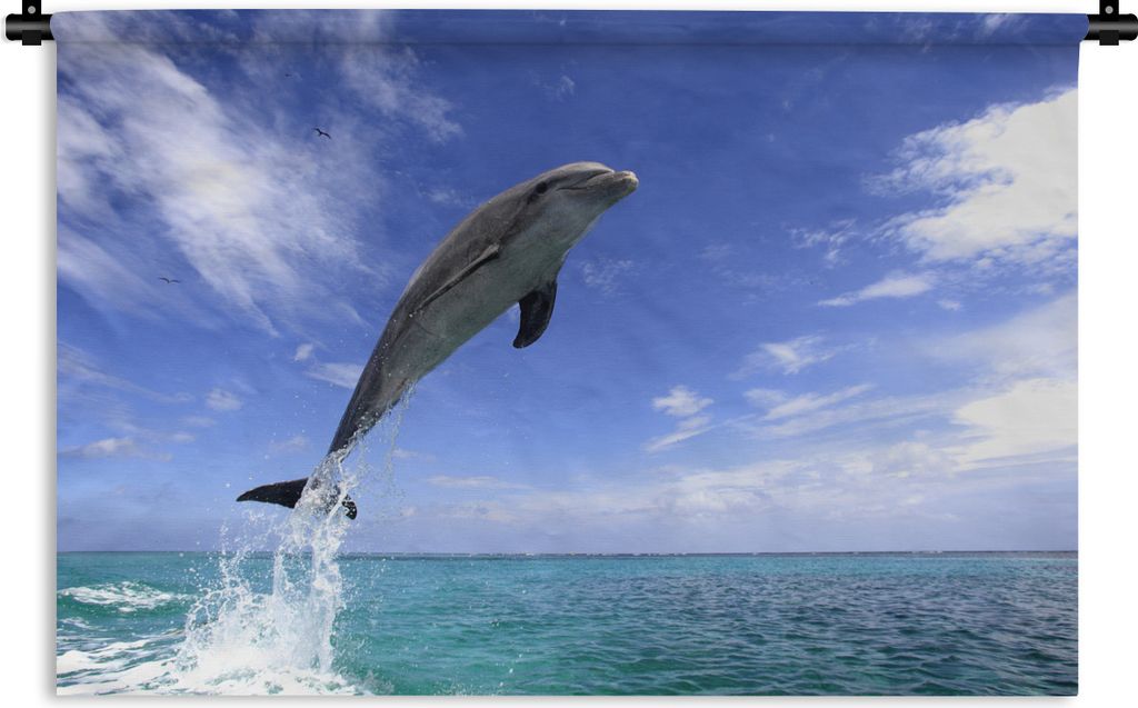 MuchoWow Wandteppich Wandbehang Delfin - Meer - Himmel 90x60 cm Tapisserie Dekoration Wandtuch - Wandskulpturen - Bildteppich