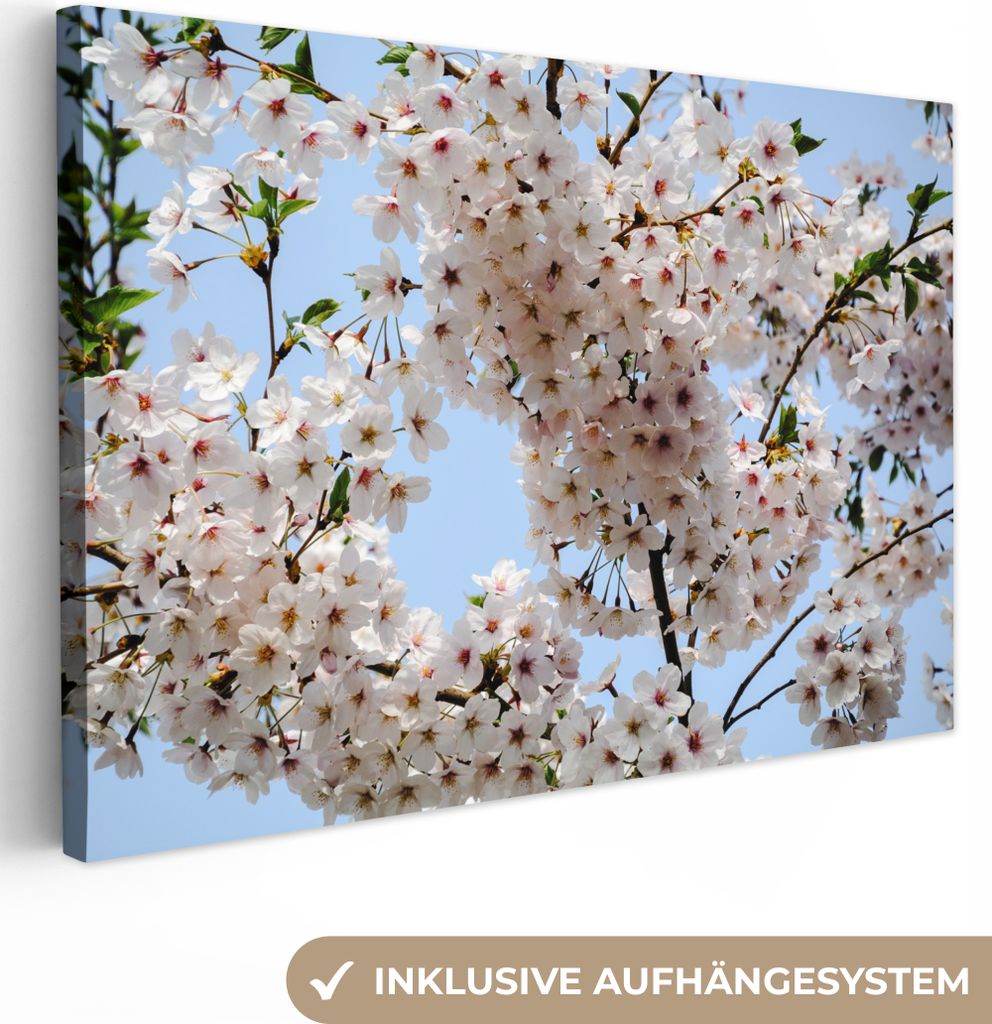 OneMillionCanvasses - Leinwandbilder - 140x90 cm, Pflanzen - Blumen - Zweig, Wandbilder Kunstdruck Wanddekoration