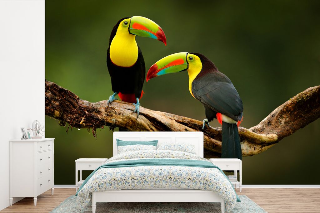 MuchoWow Fototapete für Wohnzimmer oder Schlafzimmer Wandtapete Vinyl Motivtapete Vögel - Tukan - Zweig - Tiere - Regenbogen - 330x220 cm - Fot...
