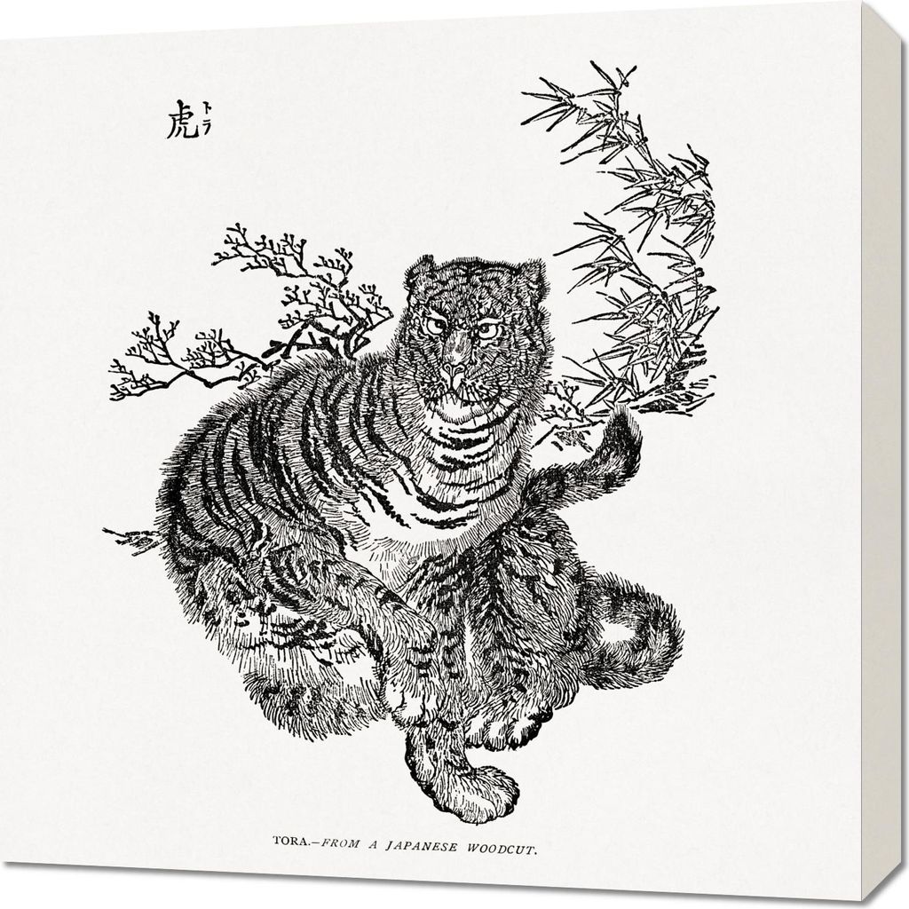 Bild 60x60cm Japanischer Tiger, Vintage für das Wohnzimmer