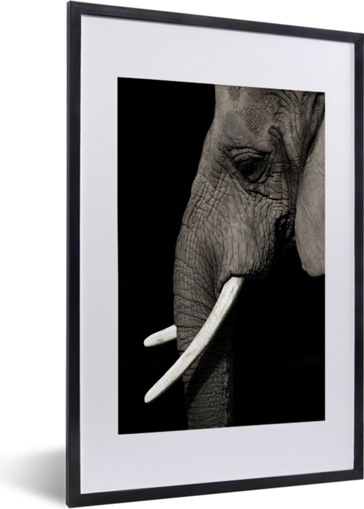 MuchoWow MuchoWow Gerahmtes Poster Elefant - Tier - Stoßzahn 40x60 cm - Poster mit zchwarzem Bilderrahmen - Poster in Rahmen