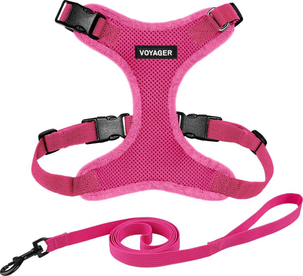 Voyager Step-in Lock Katzengeschirr und reflektierende Katzenleine mit Neoprengriff by Best Pet Supplies - Unterstützt kleine, mittelgroße und gr...