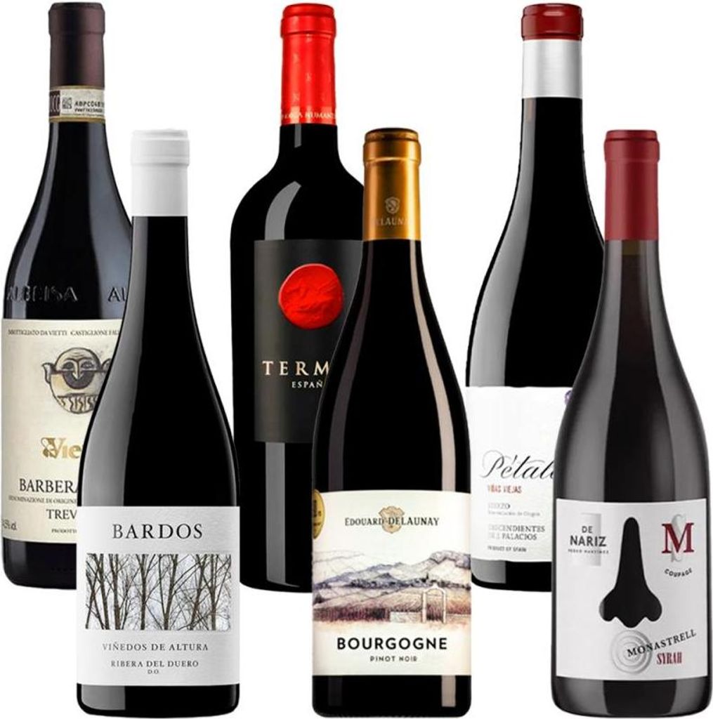 Pack Tintos de Autor Wein-Pakete Spanien 75.00 cl 14.0 %
