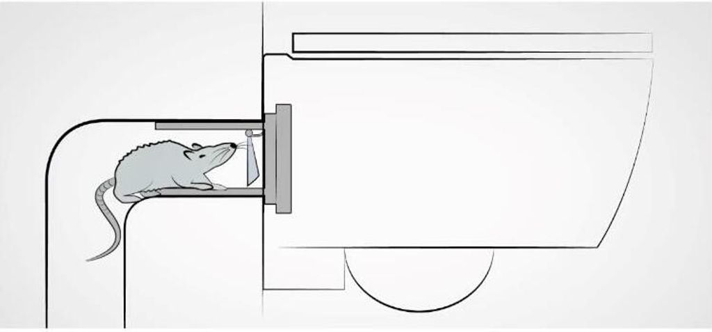 HAAS PE-Wand-WC-Anschlussgarnitur DN 90 mit Rattenklappe Produktbild 7