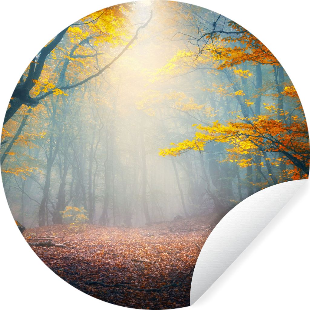 MuchoWow Runde Wandtattoo - Wandsticker Tapete Aufkleber Wald - Nebel - Herbst Ø 30 cm Selbstklebend und Repositionierbar - Wandaufkleber - Krei...