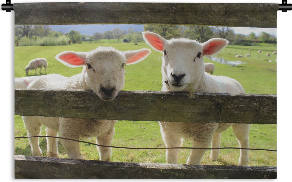 MuchoWow Wandteppich Wandbehang Schaf - Holz - Lamm 150x100 cm Tapisserie Dekoration Wandtuch - Waschbar - Tapisserien - Wand-Decke
