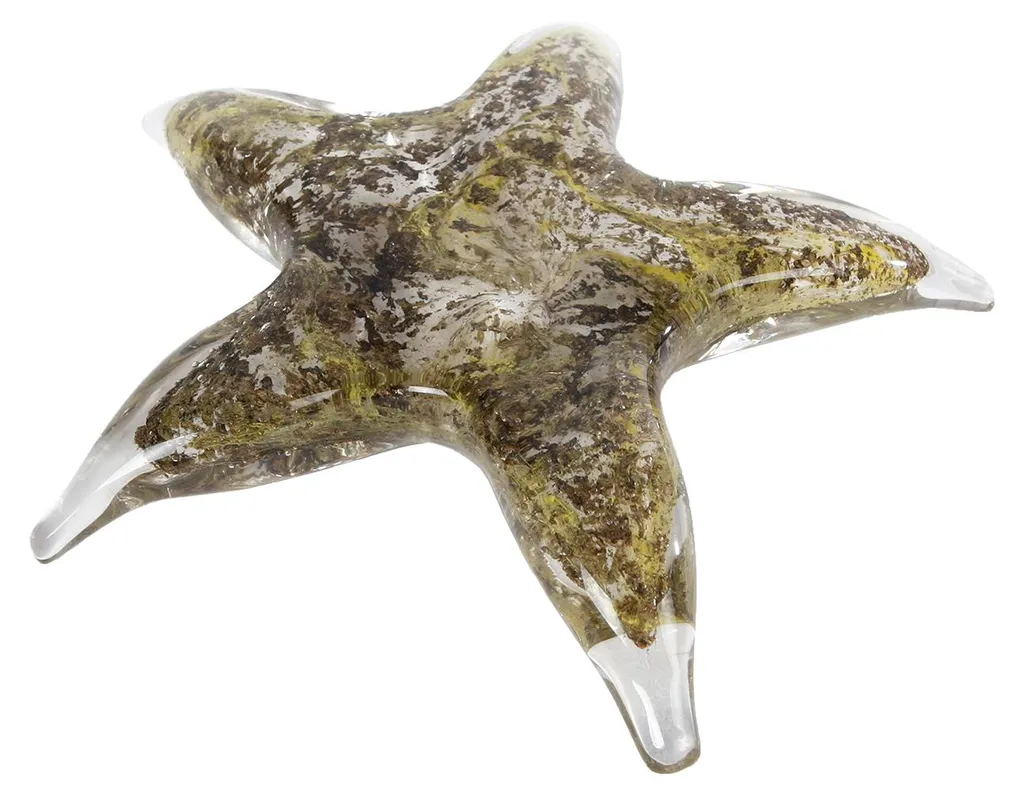 Étoile de mer en verre multicolore 15cm avec reflets prismatiques