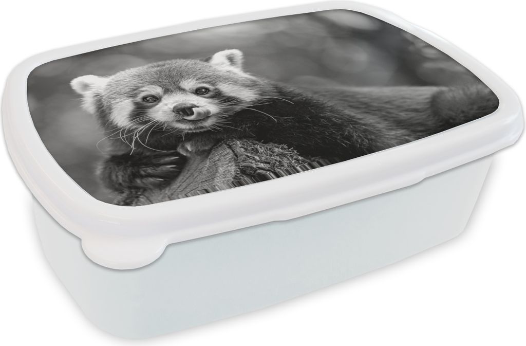 KitchenYeah Lunchbox Brotzeit Brotdose 17x11 cm Verrückter roter Panda - schwarz und weiß Kinder Brotzeitdose - Lunch Box - Kinder - Sandwich-B...