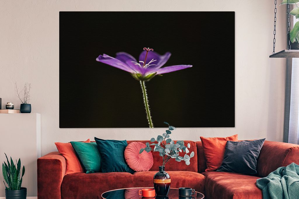 OneMillionCanvasses - Leinwandbilder - 150x100 cm, Eine lila Geranie auf schwarzem Hintergrund, Wandbilder Kunstdruck Wanddekoration