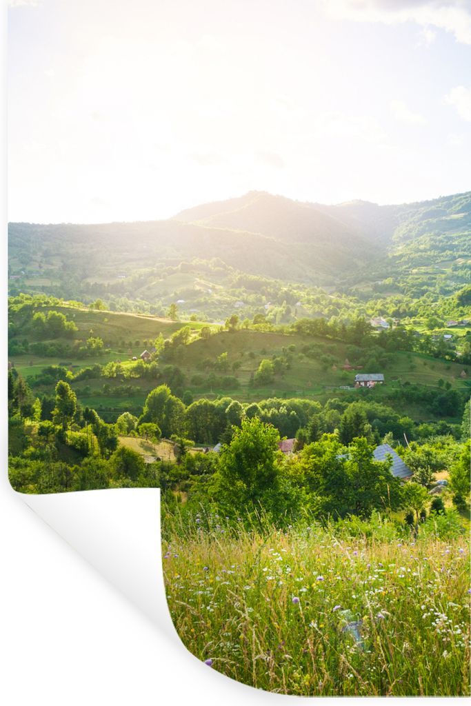 MuchoWow Wandtattoo Wandsticker Wandaufkleber Wald - Landschaft - Sonne - Natur - Sonnenaufgang 40x60 cm Selbstklebend und Repositionierbar - Wie...