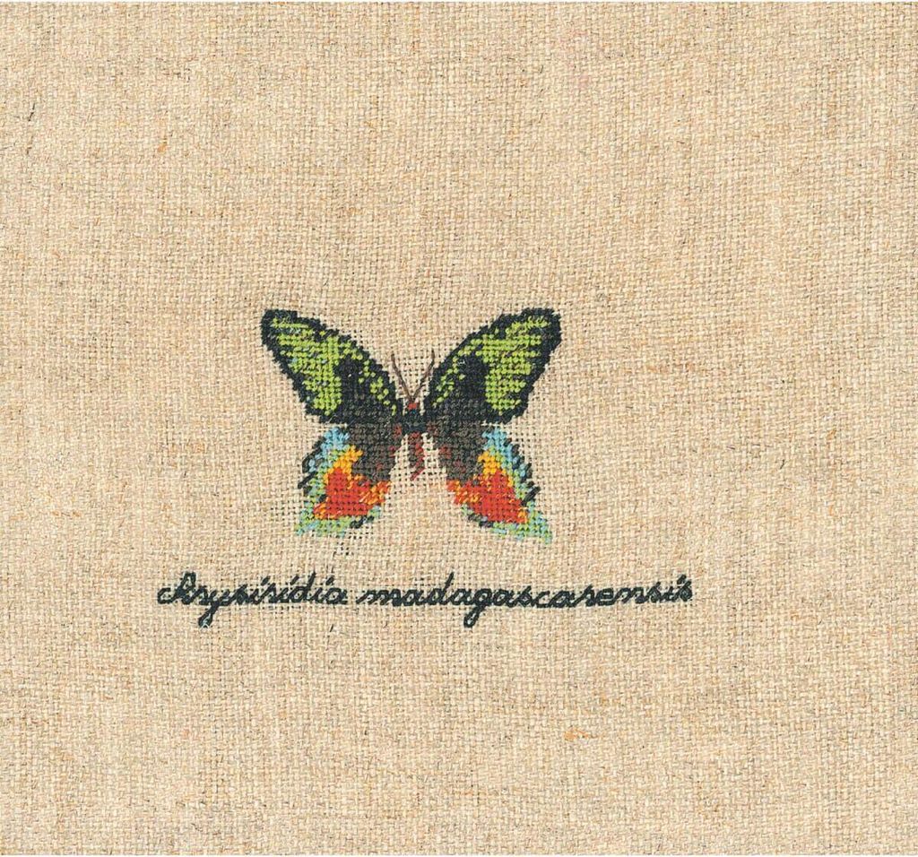 Le Bonheur des Dames Petit Point Stickpackung "Grüne Schmetterlingsminiatur", Zählmuster, 7x4cm