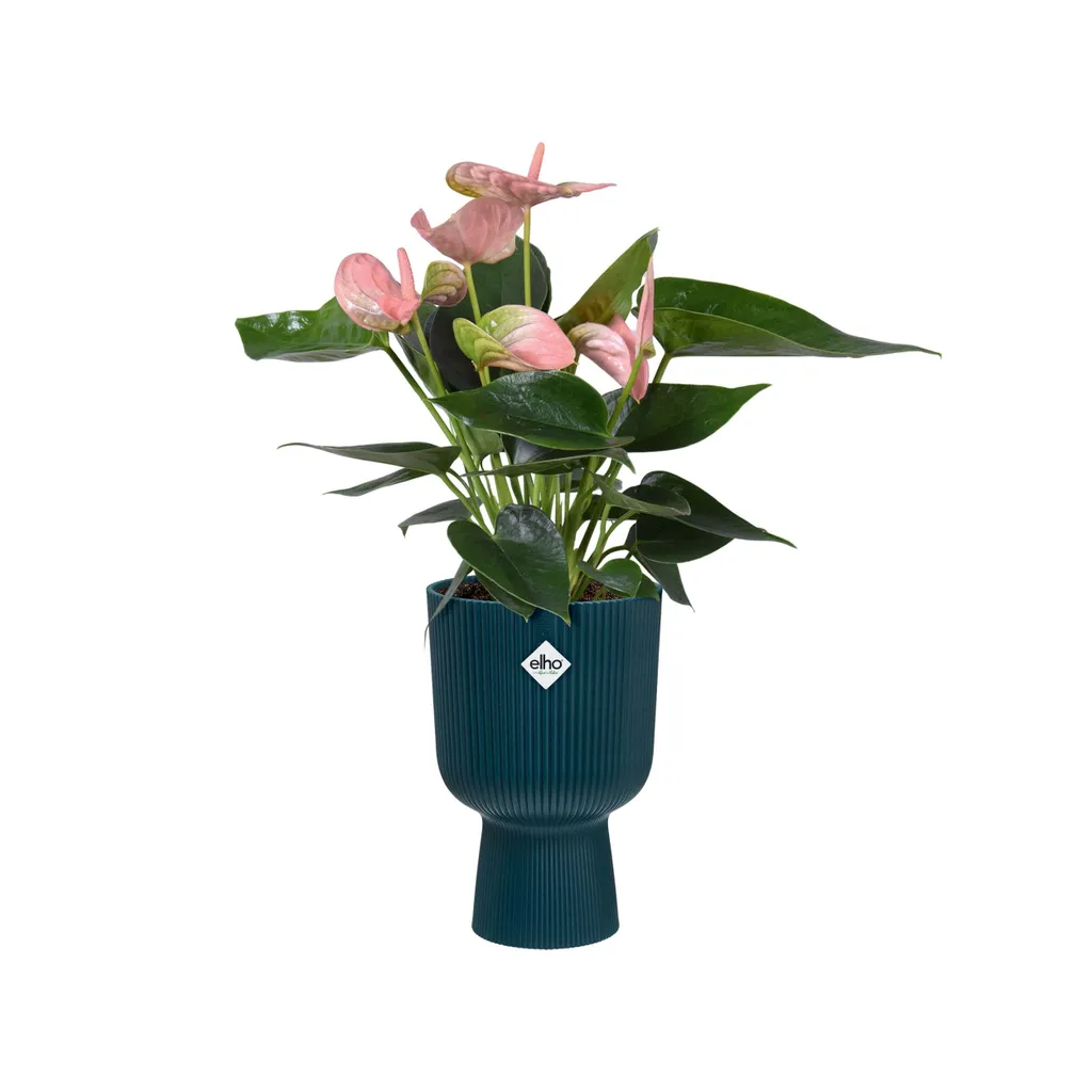 elho® Vibes Cache-pot Fold Cup bleu profond Ø 14 cm en plastique recyclé