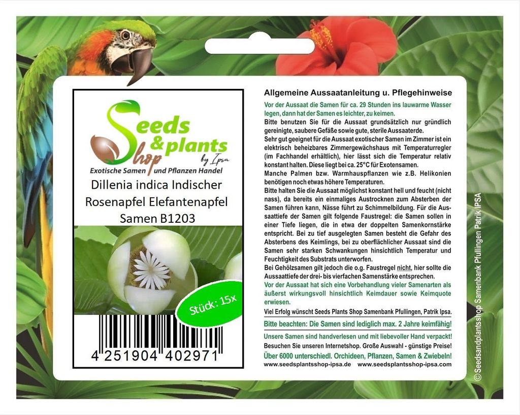 15x Dillenia indica Indischer Rosenapfel Elefantenapfel Samen B1203