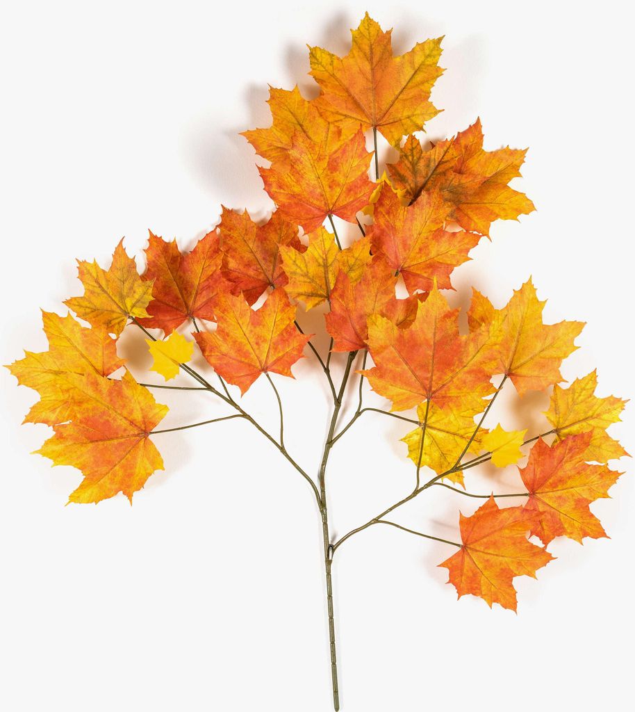 artplants.de Kunst Ahorn Zweig SILVO, schwer entflammbar, orange-gelb, 80cm - Künstlicher Ahornzweig