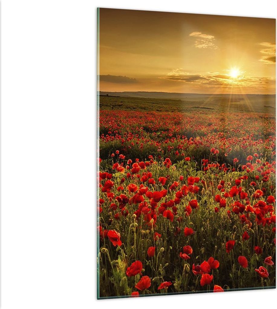 Bilder auf glas - Einteilig - Mohn Blume Wiese - 80x120cm - Glasbilder - Wandbilder - Bilder - zum Aufhängen bereit - Wanddekoration aus Glas - Gl...
