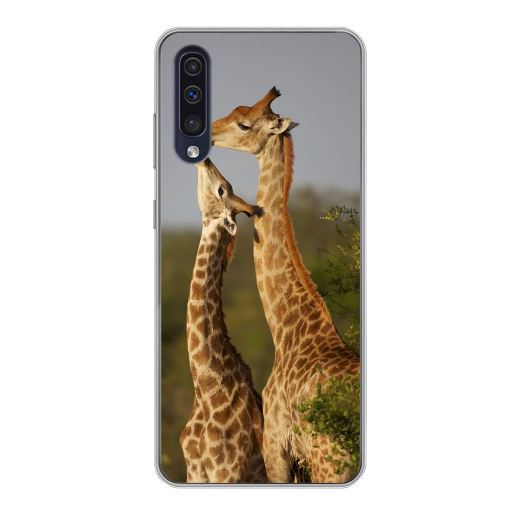MuchoWow Handyhülle Schutzhülle Hülle für Samsung Galaxy A30s Giraffe - Baum - Kalb - Porträt Silikon Softcase Handy Hülle - Karteninhaber