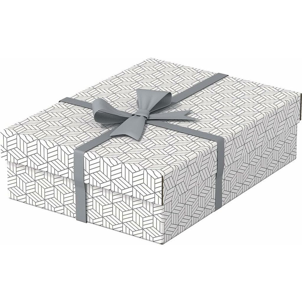 3 Esselte Home Aufbewahrungsboxen 8,0 l weiß 26,5 x 36,0 x Produktbild 