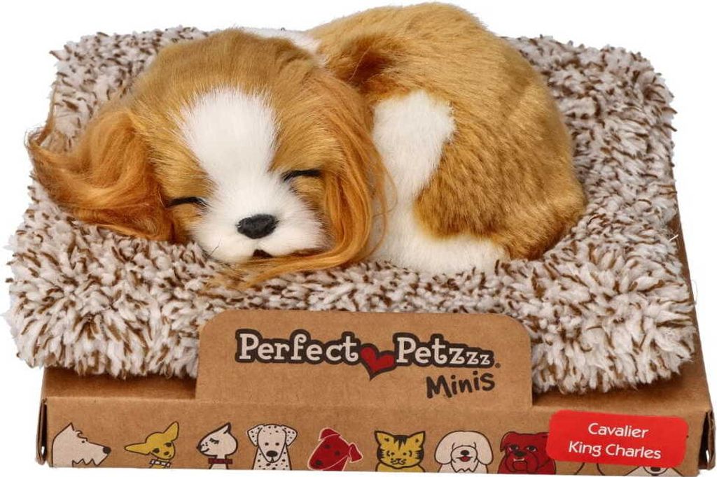 Schlafender Cavalier King Charles Welpe 13 cm klein Perfect Produktbild 
