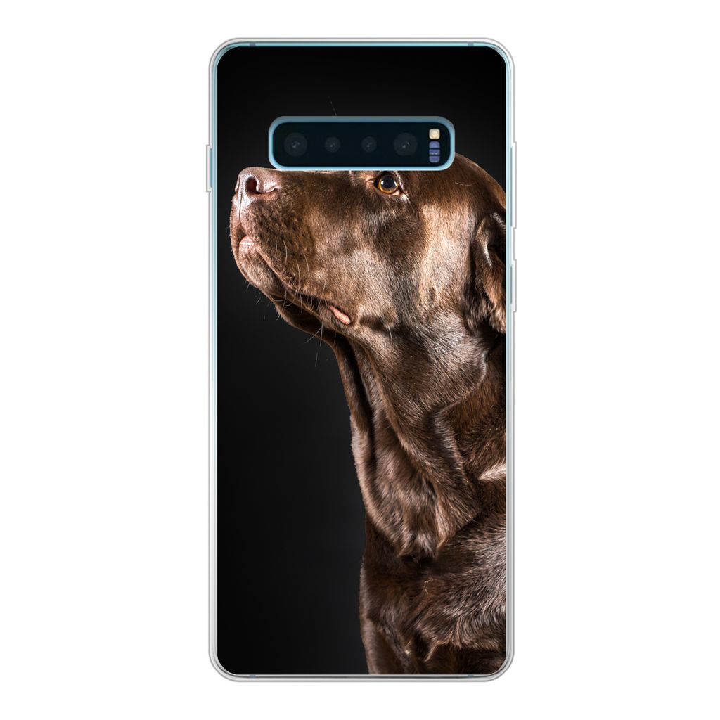 MuchoWow Handyhülle Schutzhülle Hülle für Samsung Galaxy S10 Plus Hund - Braun - Porträt Silikon Softcase Handy Hülle - Schutzhülle