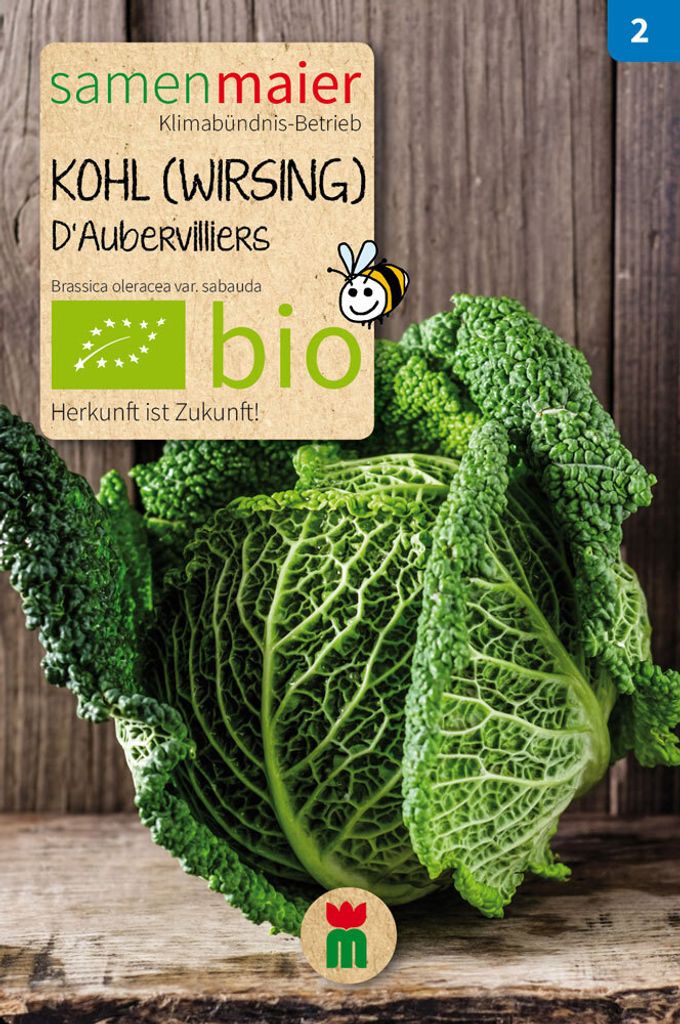 Kohl - Wirsing D Aubervilliers - Saatgut für zirka 25 Produktbild 