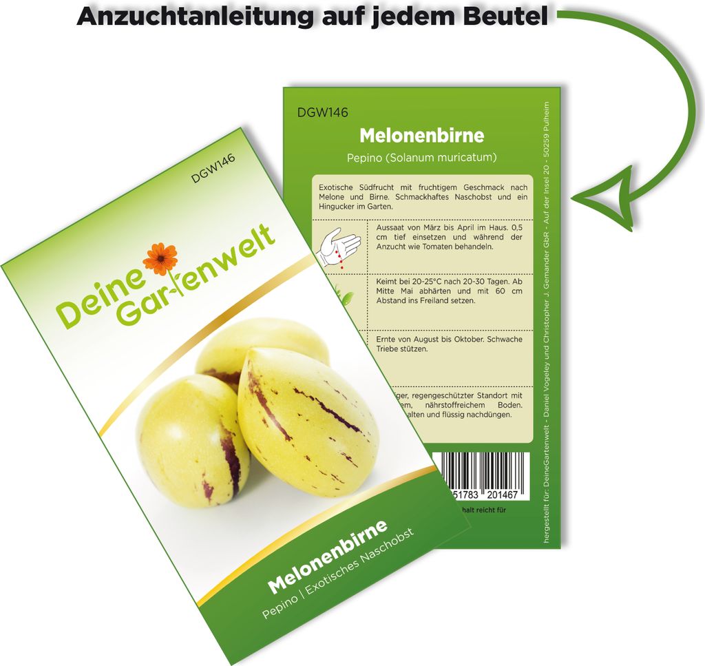 Melonenbirne Birnenmelone Pepino Samen - Solanum muricatum Produktbild 3